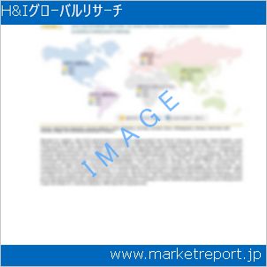 市場と産業調査レポートのイメージ
